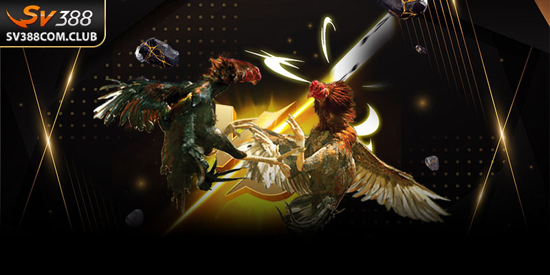 Hướng Dẫn Rút Tiền SV388 Thành Công Chỉ Trong Vài Bước 2 Trong một số trường hợp, giao dịch rút tiền có thể gặp lỗi. Dưới đây là cách xử lý nhanh chóng.