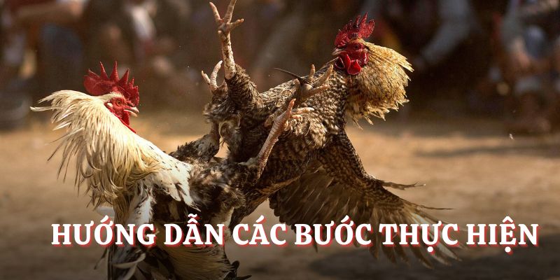 Hướng dẫn các bước thực hiện