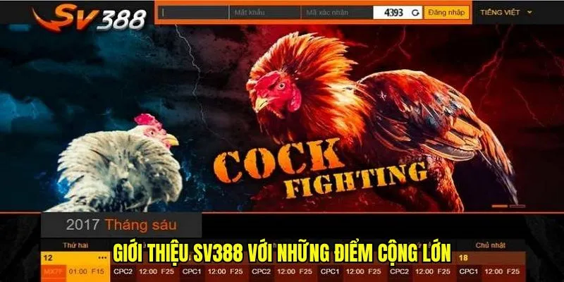 Giới thiệu SV388 với những điểm cộng lớn