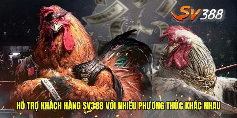 Hỗ Trợ Khách Hàng SV388: Đáp Ứng Mọi Câu Hỏi Của Bạn 2 Hỗ trợ khách hàng SV388 với nhiều phương thức khác nhau
