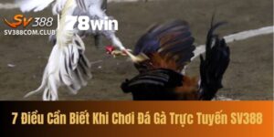 7 Dieu Can Biet Khi Choi Da Ga Truc Tuyen SV388