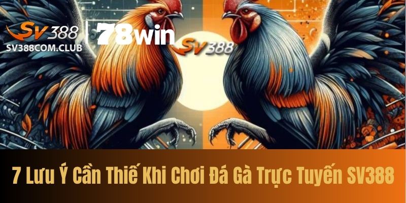 7 Lưu Ý Cần Thiế Khi Chơi Đá Gà Trực Tuyến SV388
